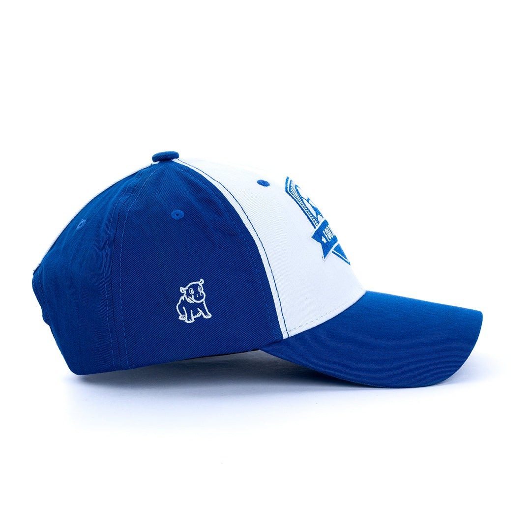 F-Ball Cap