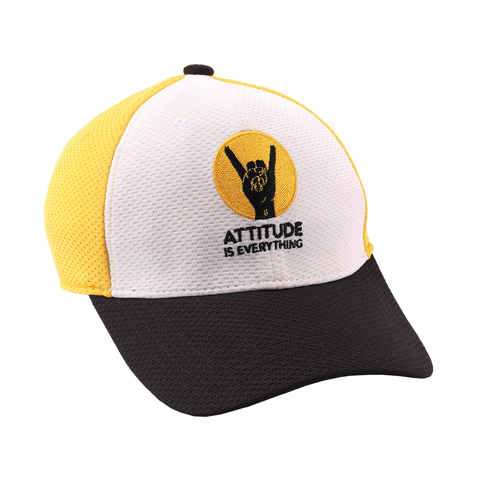 Attitude On