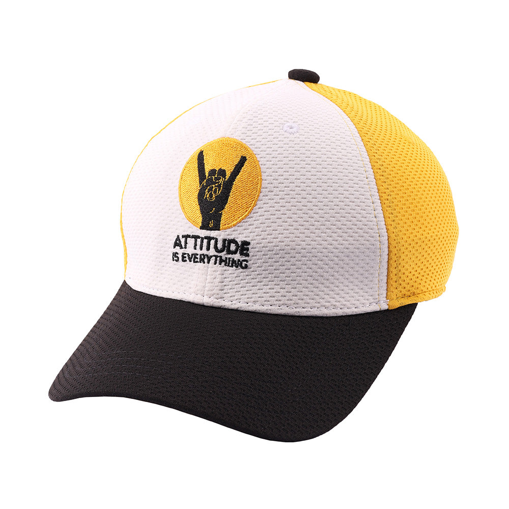 Attitude On