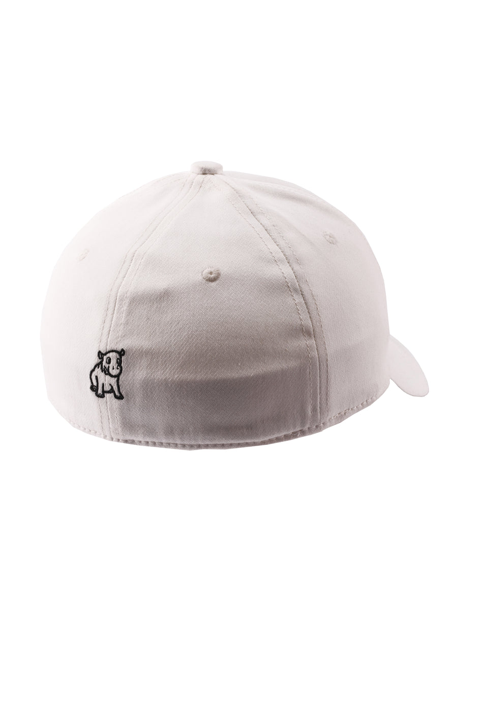 CAPSHAP