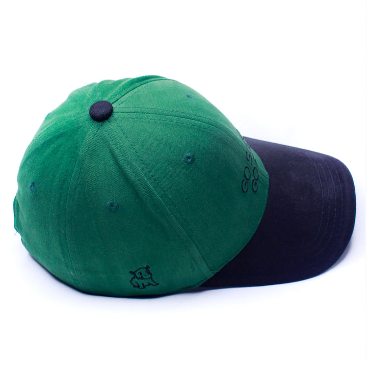 CAPSHAP