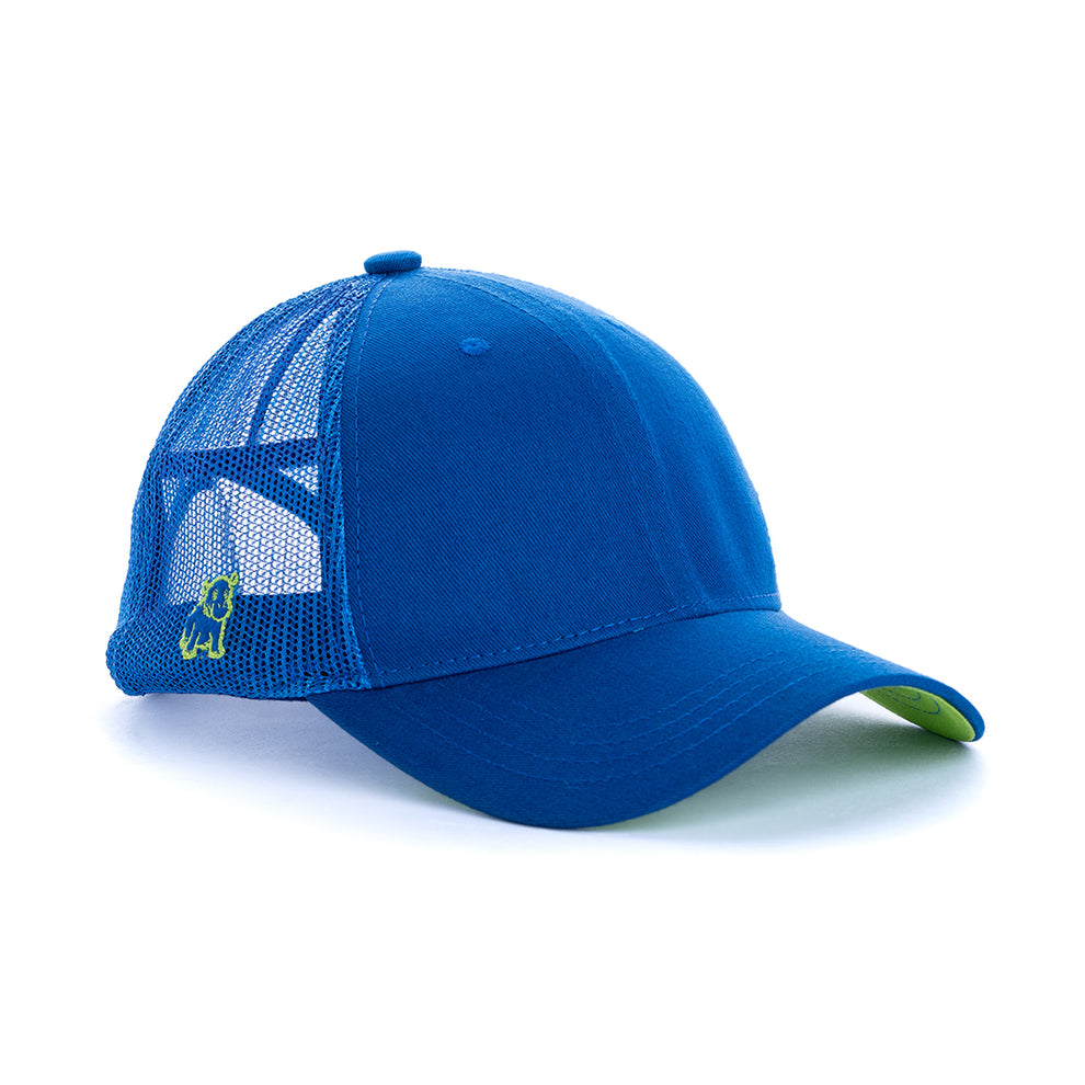 Essential Blue Cap – CAPSHAP