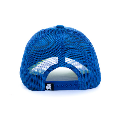 Hoi Cap