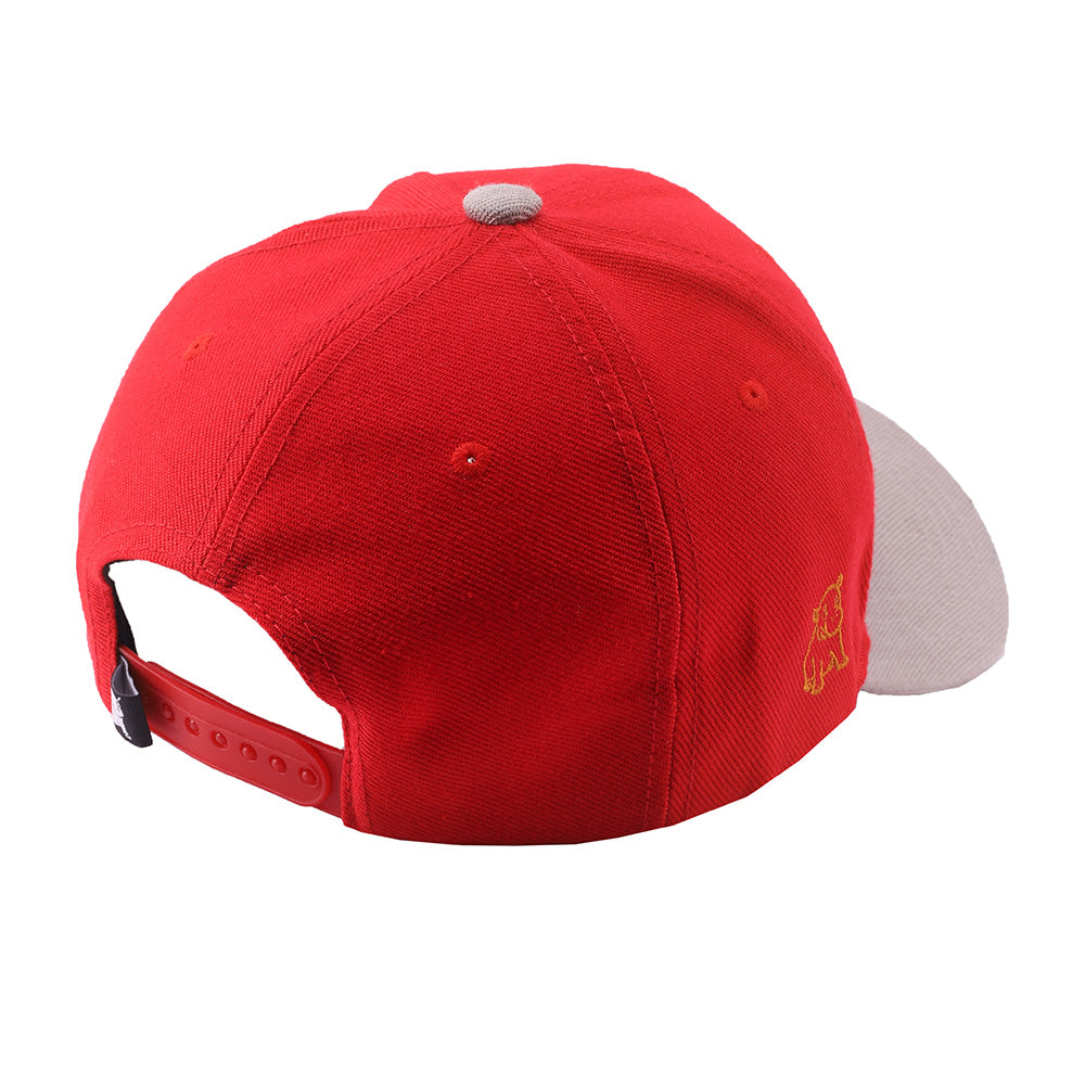 Paws And Play Cap